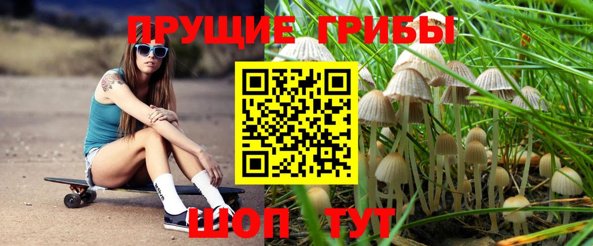Галлюциногенные грибы Magic Shrooms Курчатов