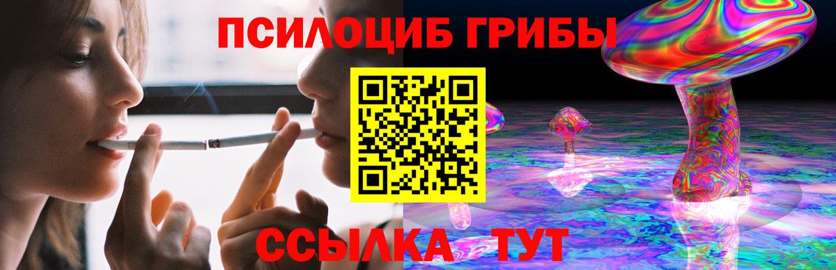 Псилоцибиновые грибы Psilocybe  Галлюциногенные грибы Psilocybine cubensis  Курчатов  Вход с VPN 
